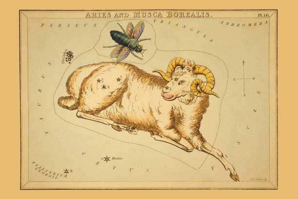 Horoscope and Numerology for June 10, 2025 –