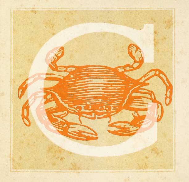 Horoscope and Numerology for June 10, 2025 –