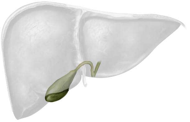 How to Check at Home Fatty Liver?