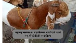 महाराष्ट्र सरकार का बड़ा फैसला: बकरीद से पहले पशुओं की बिक्री पर प्रतिबंध
