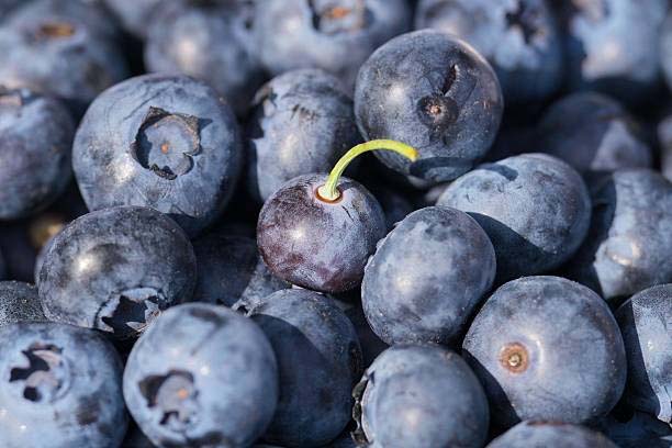 7 Unique Superfoods to Boost Women’s Fertility – Doctors Reveal Their Exclusive Benefits 16 Fertility