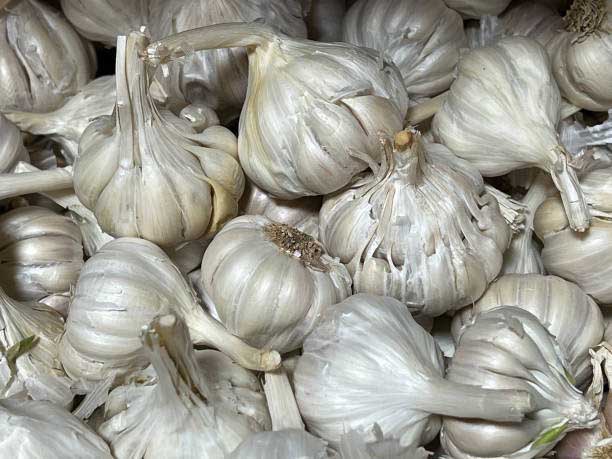 Foods that clean kidney naturally