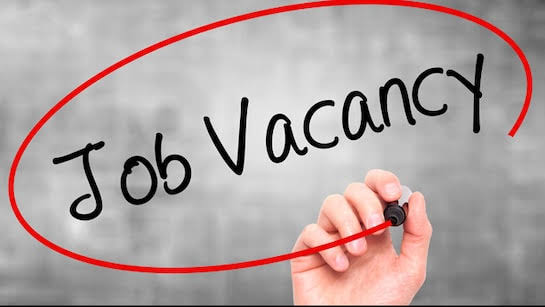 IBPS PO Vacancy 2025