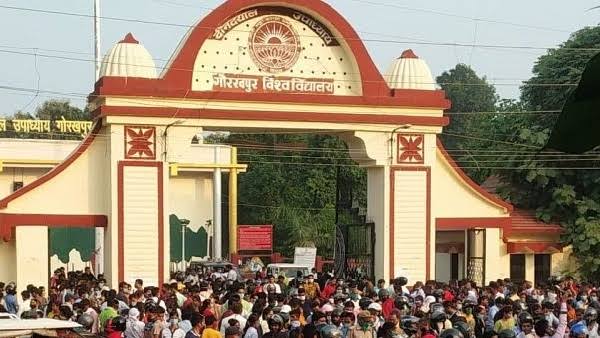 DDU Seat Allotment 2025: गोरखपुर यूनिवर्सिटी ने 39 कोर्सेज की सीट अलॉटमेंट लिस्ट की घोषणा – जानें पूरी डिटेल्स 13 DDU Seat Allotment 2025