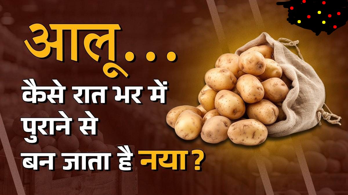 Food Adulteration गोरखपुर में फूड विभाग की बड़ी कार्रवाई: दो ट्रक रंगीन आलू जब्त, जनता की थाली में ज़हर मिलाने की साजिश बेनक़ाब