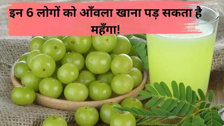 Amla Side Effects: इन 6 लोगों को आँवला खाना पड़ सकता है महँगा!