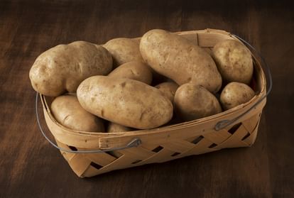 Food Adulteration गोरखपुर में फूड विभाग की बड़ी कार्रवाई: दो ट्रक रंगीन आलू जब्त, जनता की थाली में ज़हर मिलाने की साजिश बेनक़ाब