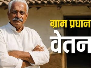 Flipkart Black Friday Sale: Samsung Galaxy S25 Ultra पर भारी छूट, आज आखिरी मौका 3 यूपी पंचायत चुनाव: Gram Pradhan Eligibility, योग्यता, सैलरी, मानदेय और पंचायत चुनाव गाइड