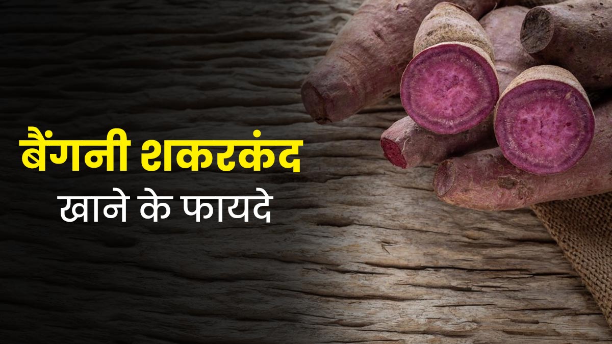 Health Benefits of Sweet Potato: सर्दियों का असली सुपरफूड, शकरकंद के ये 6 फायदे बदल देंगे आपकी सेहत 3 Health Benefits of Sweet Potato: सर्दियों का असली सुपरफूड, शकरकंद के ये 6 फायदे बदल देंगे आपकी सेहत