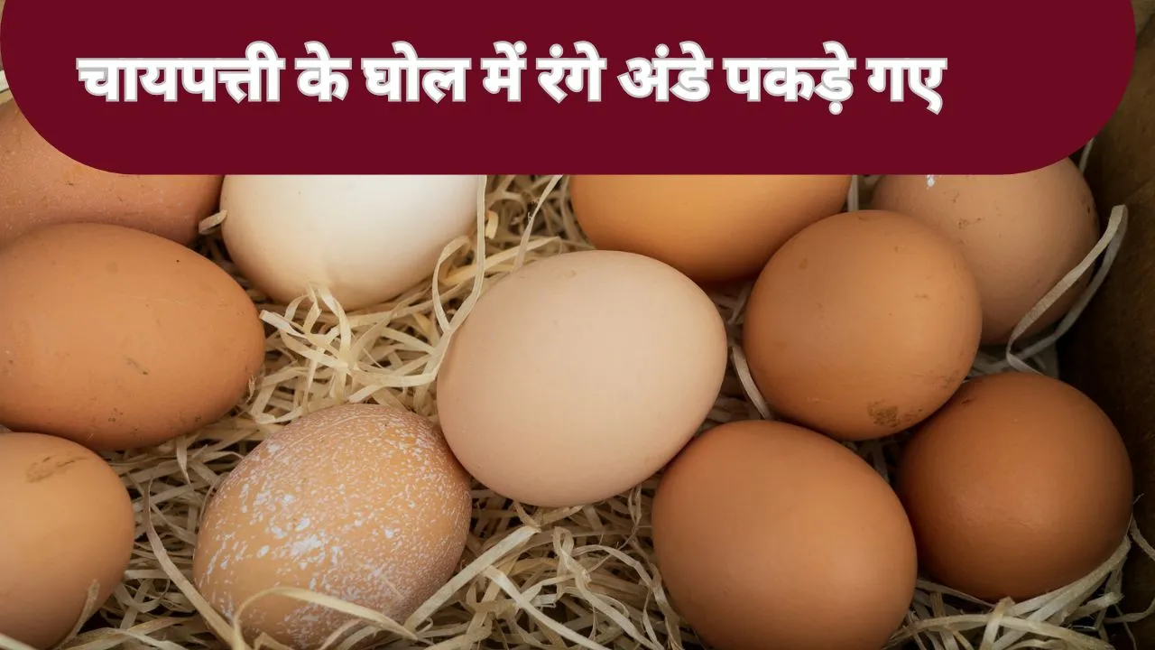 Food Adulteration Case: मऊ में चायपत्ती के घोल में रंगे अंडे पकड़े गए, खाद्य विभाग की बड़ी कार्रवाई