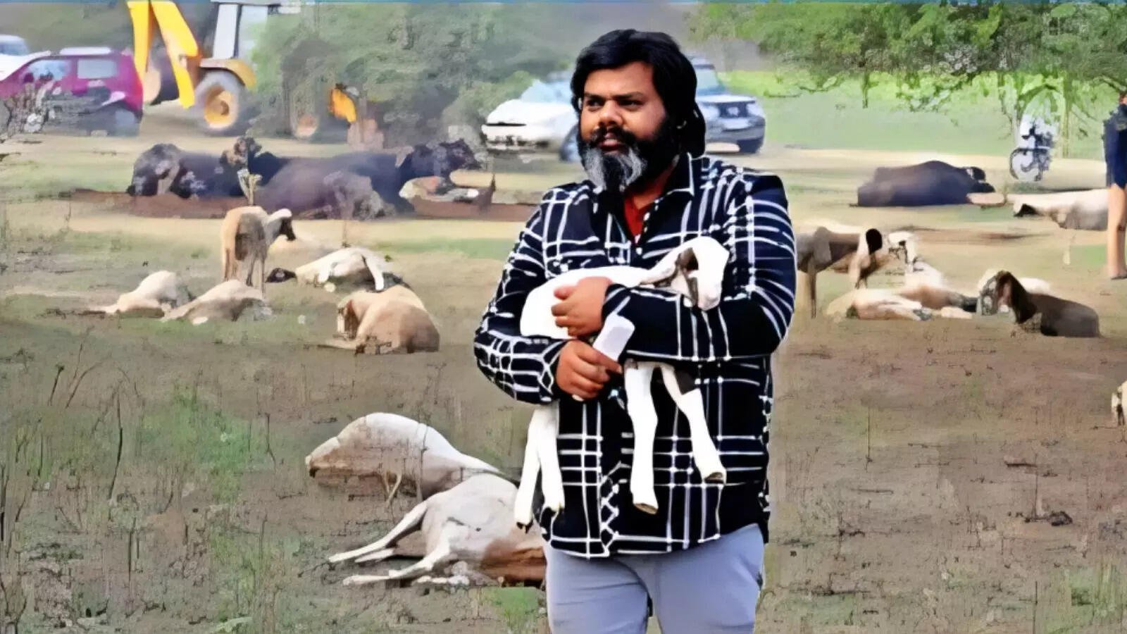 Sheep Died in Lucknow लखनऊ में राष्ट्र प्रेरणा स्थल के पास 70 भेड़ों की मौत, उद्घाटन के बाद लापरवाही के आरोप